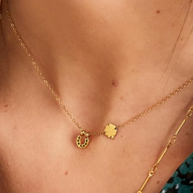 Necklace with horseshoe and clover h5 Picture5